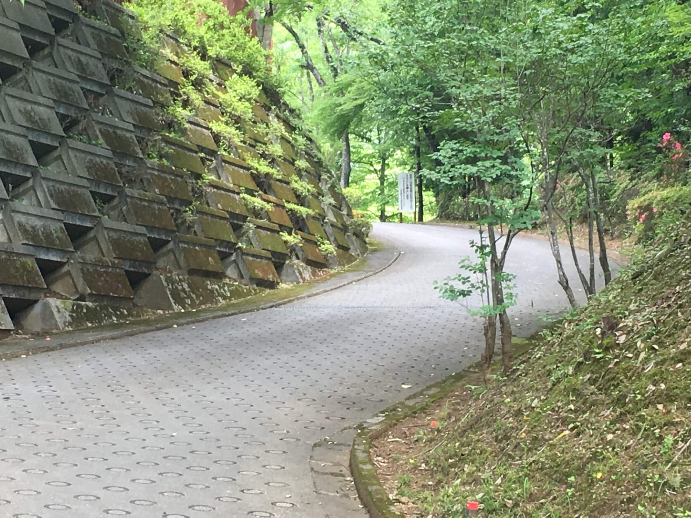 校門？