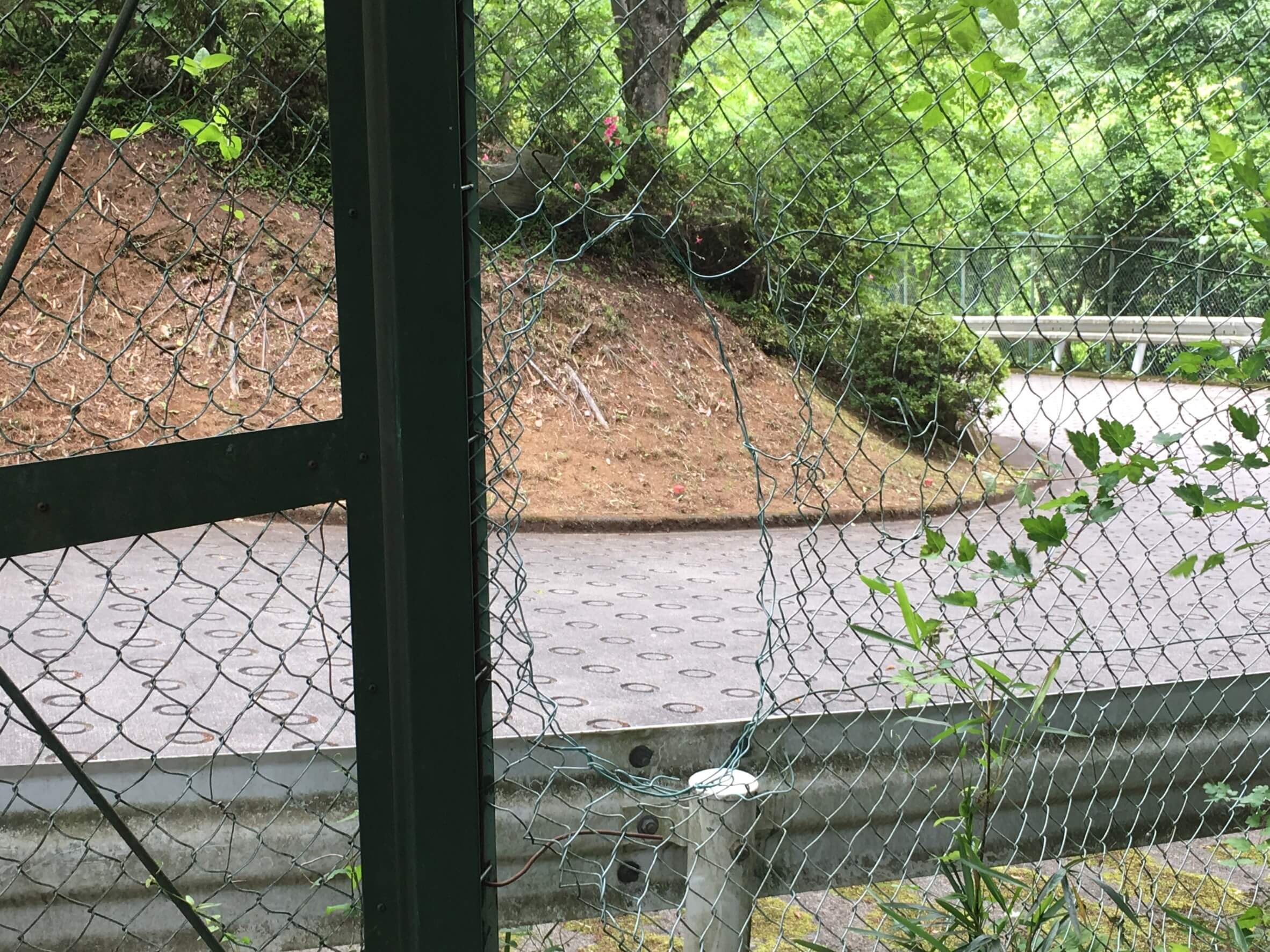 横の穴