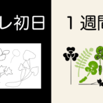 イラストレーター超初心者でも挫折しない!おすすめチュートリアルサイト&動画3選。(Illustrator使い方)