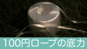 パラコードの代わりに100均の梱包用ppヒモでタープ設営してみた