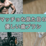 【ギャップ萌え歯ブラシ】腹筋みたいな見た目なのに超優しい磨き心地