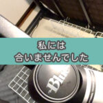 【買って後悔】Blue Microphones Compass(マイクアーム/スタンド)