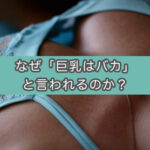 巨乳女性はバカと言われるのはなぜ？仮説・歴史・俗説・研究など
