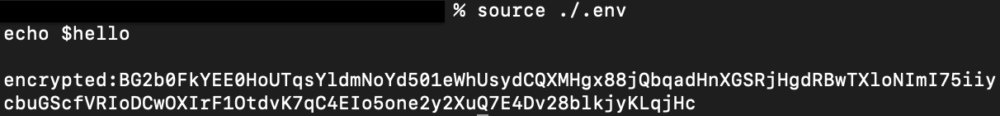 dotenvx encryptを実行してもkey added to .env.keys (DOTENV_PRIVATE_KEY)が出てこない ...